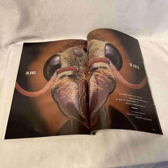 National Geographic April 2023 Earth's Billion Nigeria Grows China Shrinks Ants - Picture 10 of 11